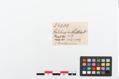 Etiketten zu Bronzearmring (NHMW-PRAE-024209)